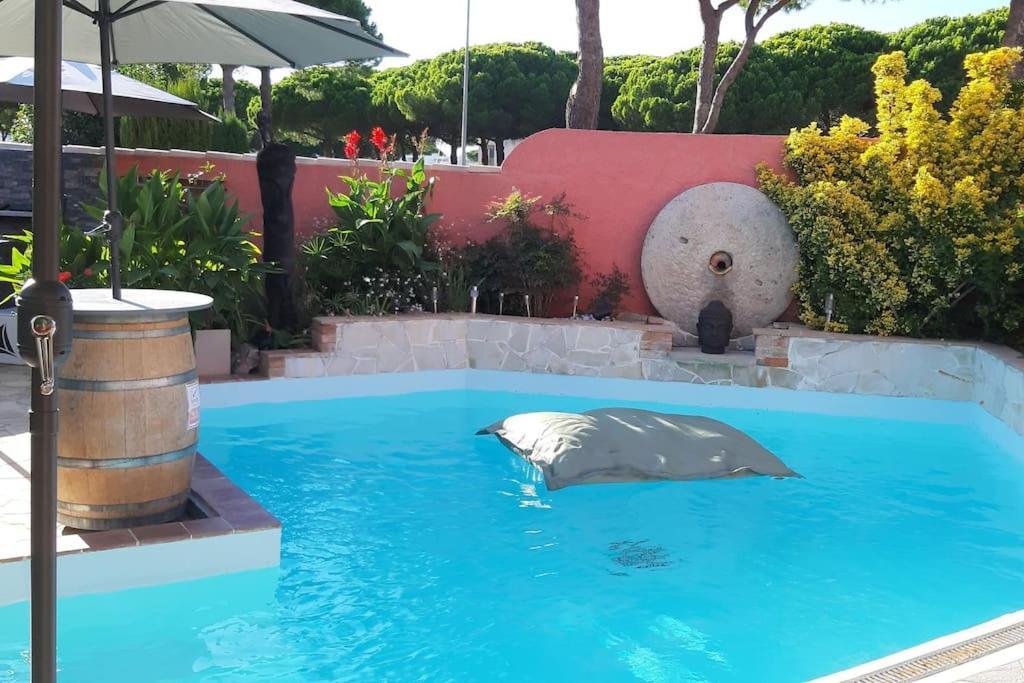Hebergement Insolite Studio Grau Du Roi Mas Des Marines Piscine Льо Гро-дю-Роа Екстериор снимка